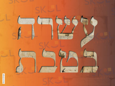 Asara B'Teves Poster Letters Laminated 18" x 24"
