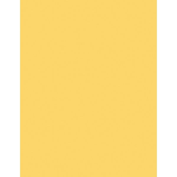 Colored Copy Paper 20lb 8.5"x11" 500/pk (White)