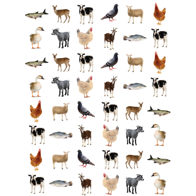 Kosher Farm Animal Stickers Round 19mm Color Print 10/pk