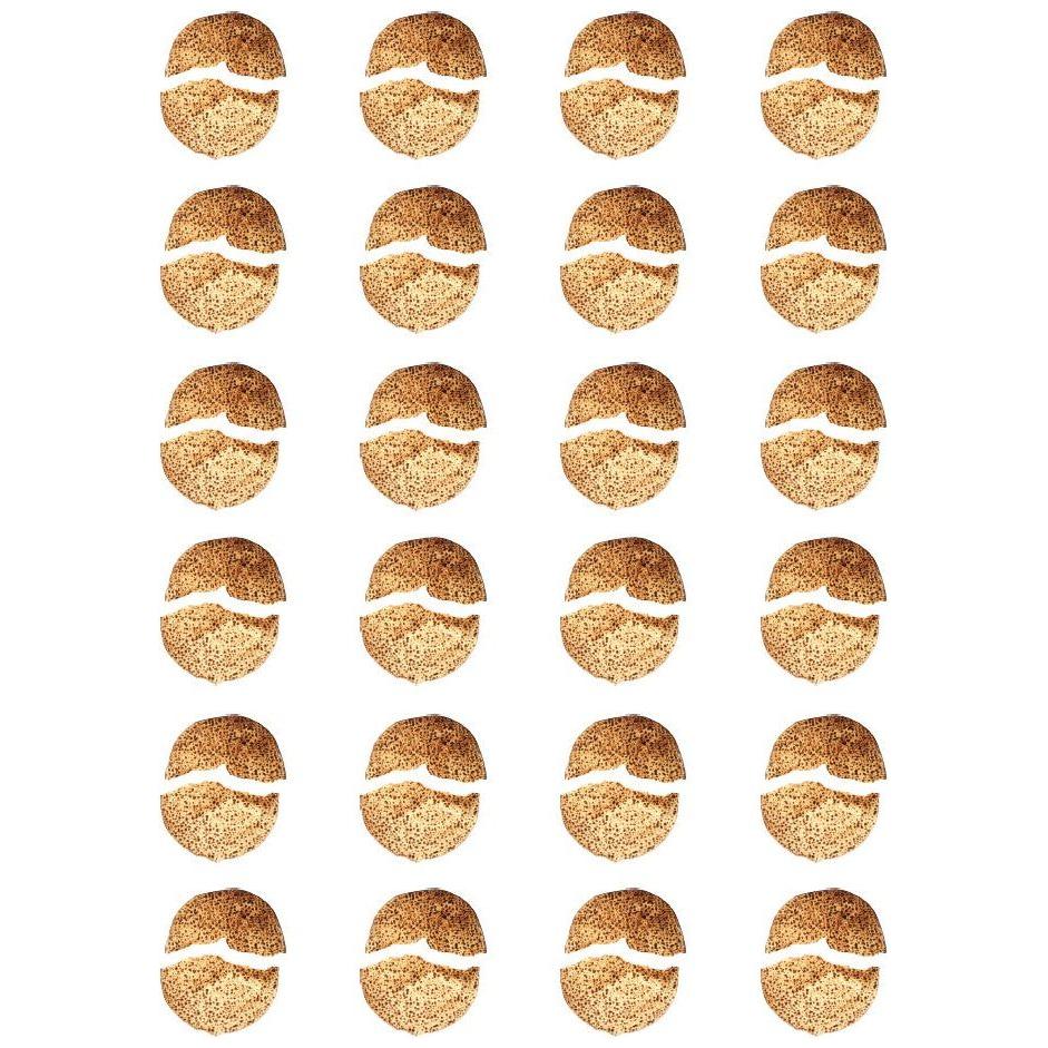 Broken Matzah Stickers Round 25MM Color Print 10/pk