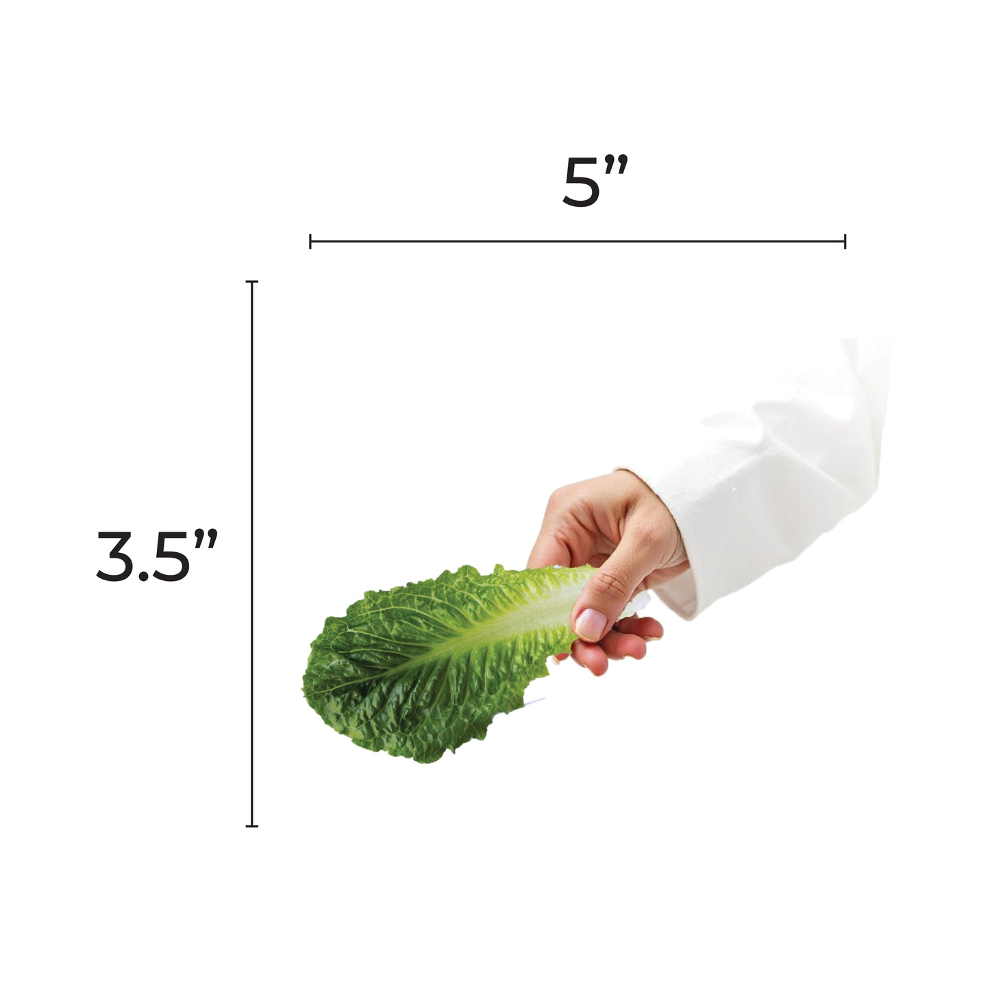 Murror Cutout 5-inch 20/pk