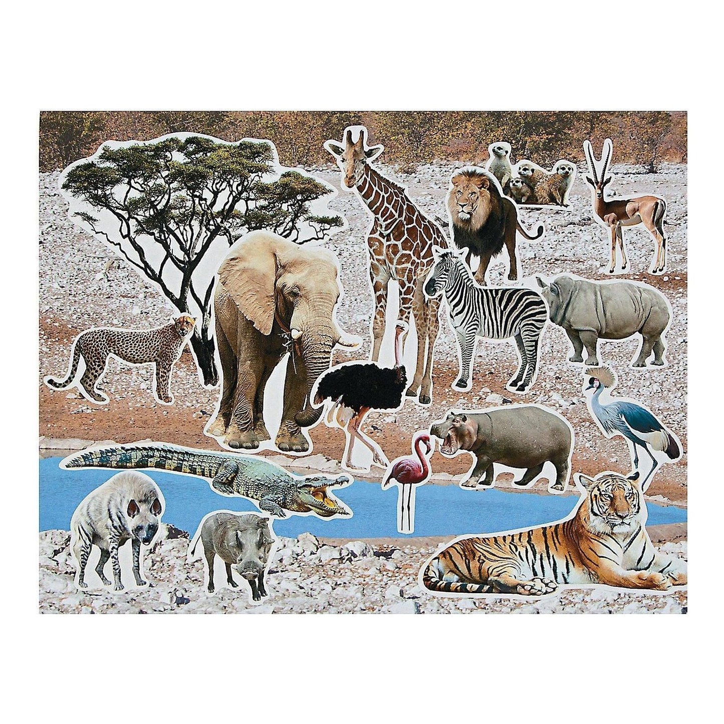 Realistic Safari Sticker Scenes, 11" x 8 1/2", 12/pk