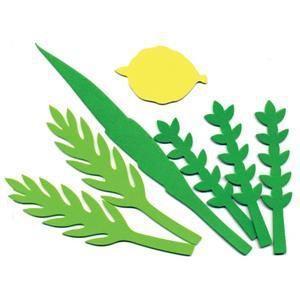 Arba Minim Foam Shapes 9 Sets