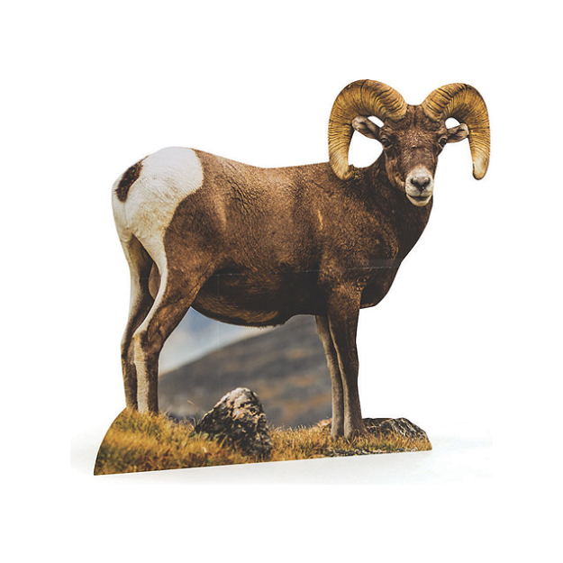Bighorn Ram Cardboard Cutout Stand-Up 43 1/2" x 41" 1/pk