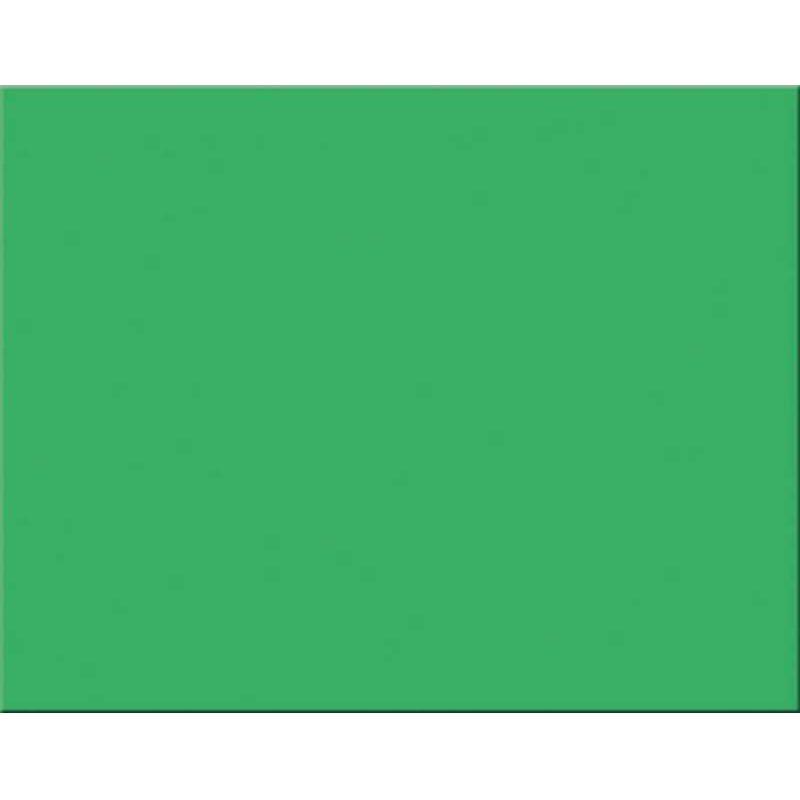 Poster Board 22" x 28" (Green, 25 Pack)