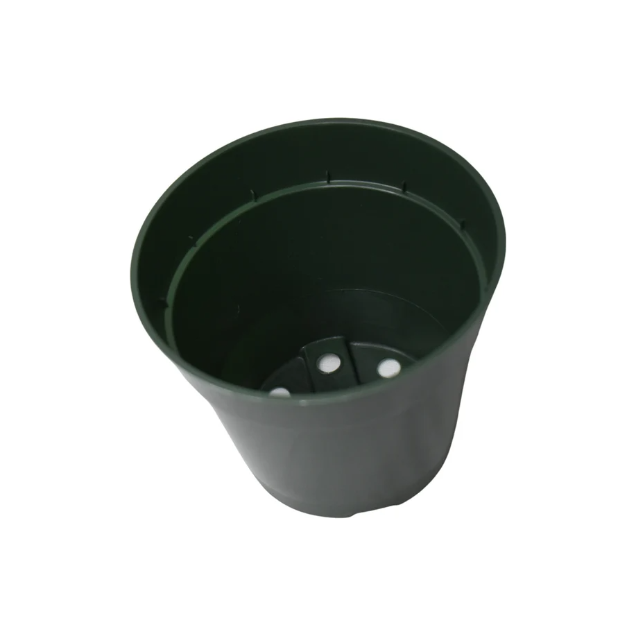 Flower Pot 1 pc (Green, 3.5")