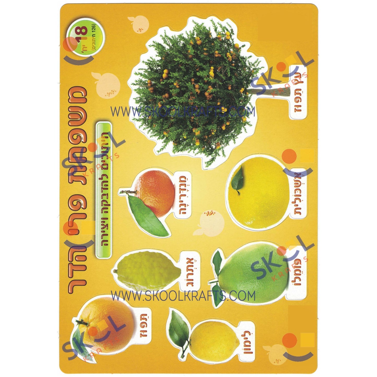 Fruit Cardstock Cutouts 18 Sheets (discontinued)