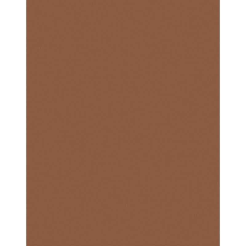 Poster Board 22" x 28" (Brown, 25 Pack)