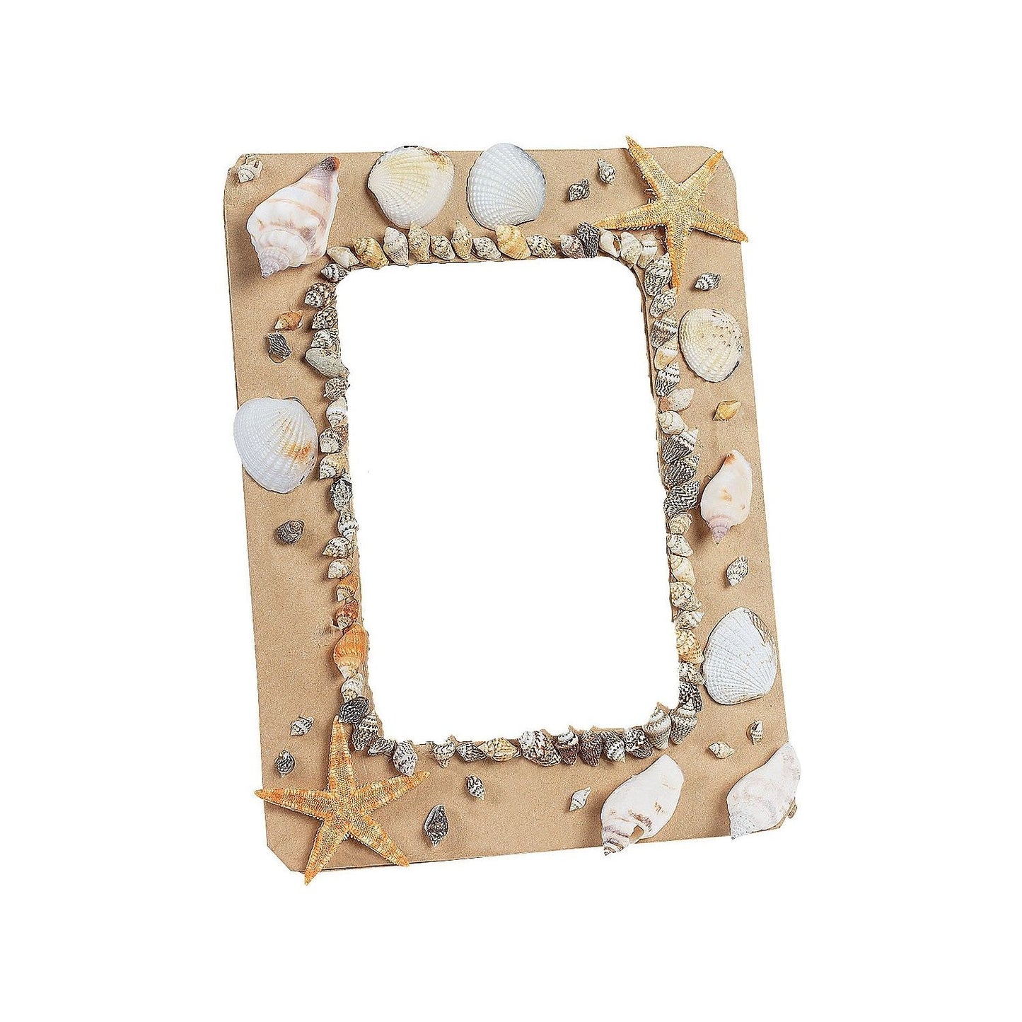 Natural Sea Shell Picture Frames, 2 1/2" x 4 1/2" photo space -12 pc