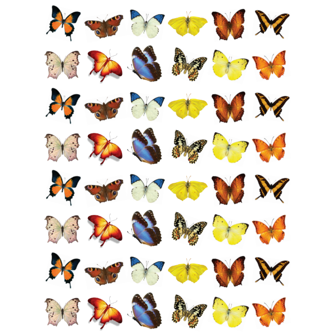 Butterfly Stickers 3/4" Round 19mm Clear 10/pk
