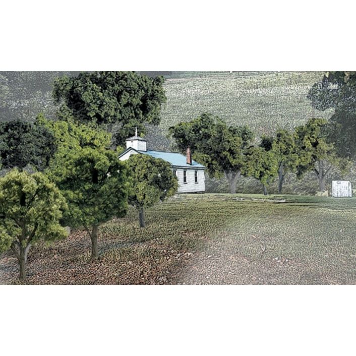 Mixed Green Deciduous 38/pk 2"- 3"