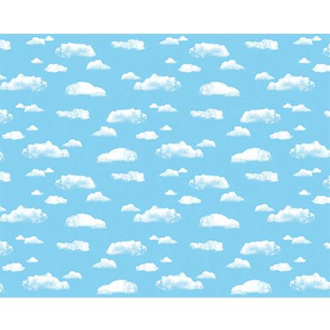 Fadeless Design Roll Clouds 48" x 50'