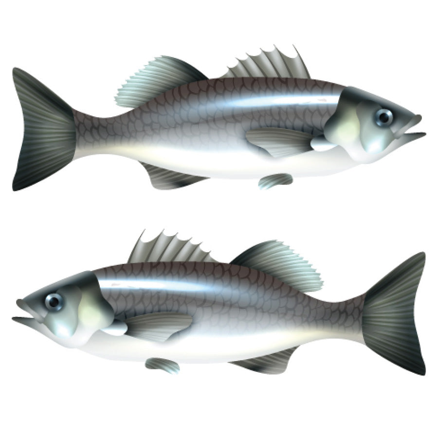 Fish cutout 3" 10 set 20/pk