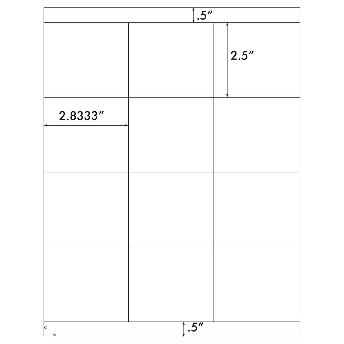 Fluorescent Assorted Labels 12/sheet 2.5" 100/pk
