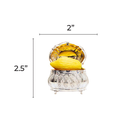 Etrog 2.5-inch cutout 20/pk