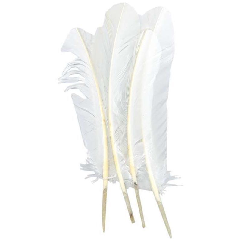 Feather round 12"-13" white 4pcs