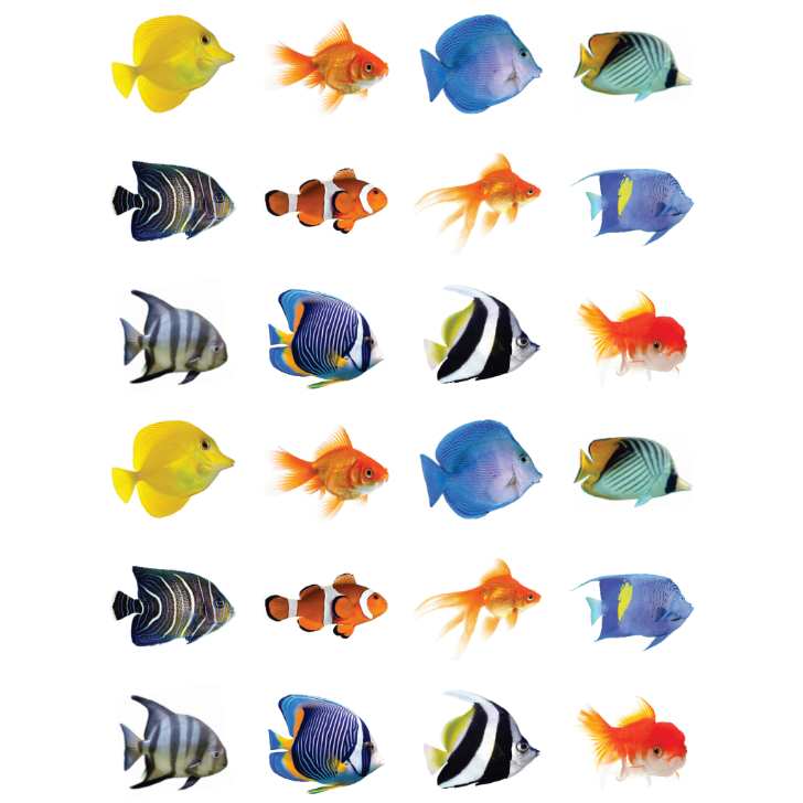 Fish Assortment Stickers Round 25mm Clear 10/pk