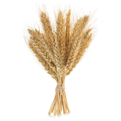 Wheat Cutout 2.5" 20/pk