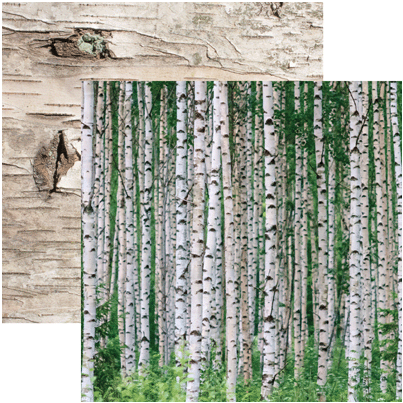 Birch Wood Designed Paper