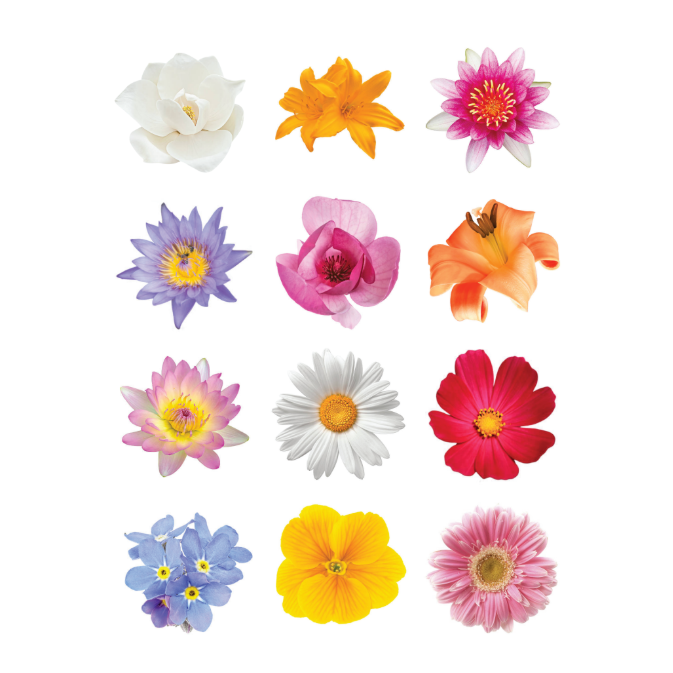 Sticker Flowers 1 1/2" Round 32mm Color Print 10/pk