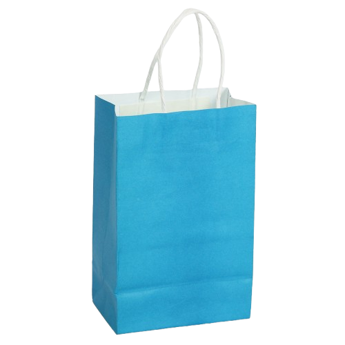 Paper Bags With Handle 5.25" X 8.25" X 3.25" Turquoise 10/pk