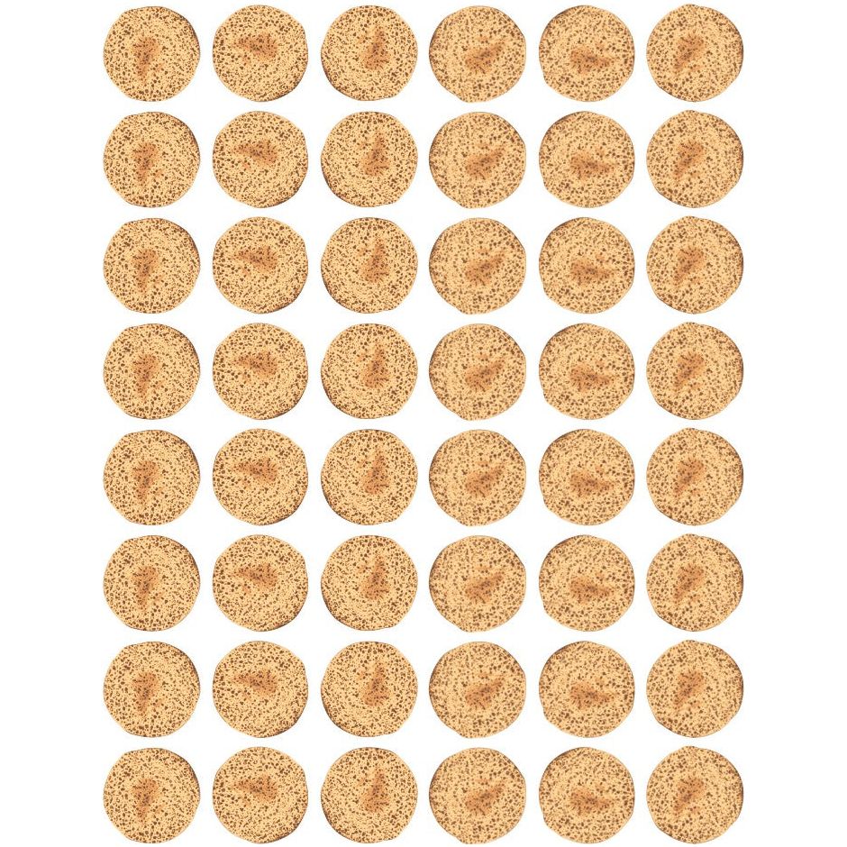 Matzah Stickers Round 19mm Color Print 10 /pk