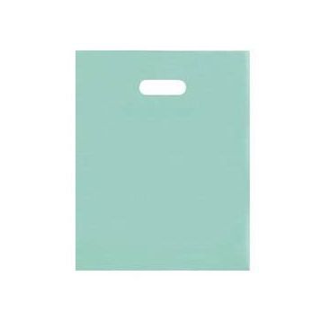 Frosted Bags (12" x 15", Aqua, 250 Pack)