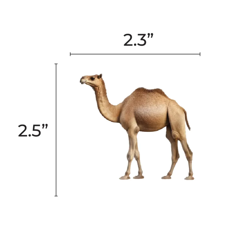 Camel Cutouts 2.5-inch 20/pk
