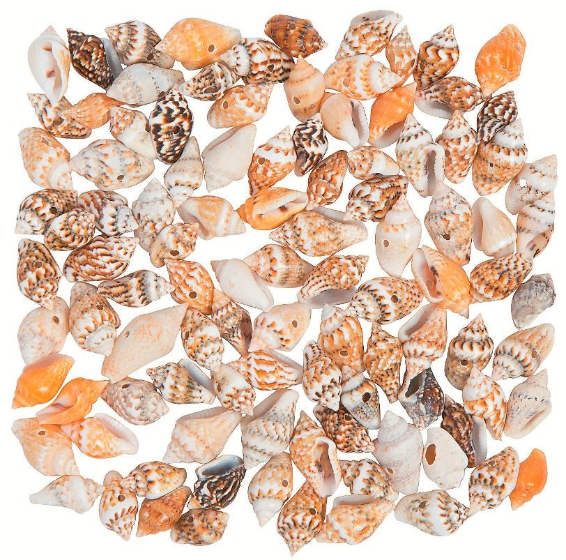 Mini Shell Beads 114/pk 5-8mm