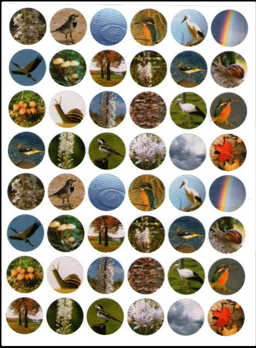 Birds & Nature Stickers 3/4" (10 sheets) (closeout)