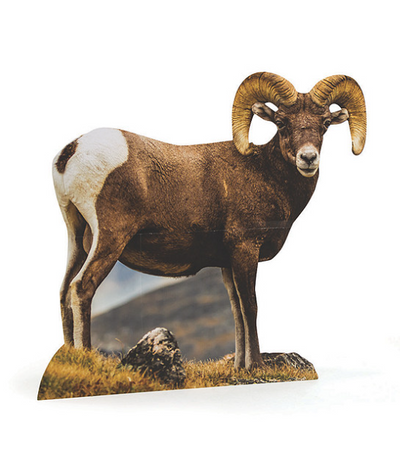 Bighorn Ram Cardboard Cutout Stand-Up 43 1/2" x 41" 1/pk (Discontinued)