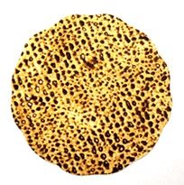 Matzah Cutout 3" w/Glitter 20/pcs. (discontinued)