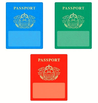 Passport Accents 6" 36/pk