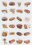 Stickers Bread Assortment 10/sheets