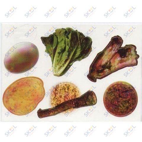 Semunim Karrah Cutouts 20/pk