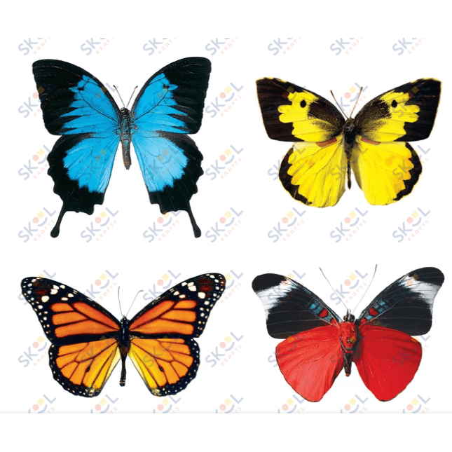 Butterflies Mini Accents Variety Pack 3" 36/pk