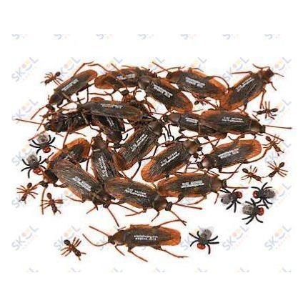 Plastic Realistic Bugs 144/pcs.