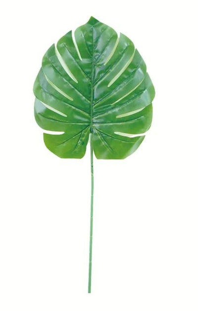 Green Long Leaf 24" 1/pk
