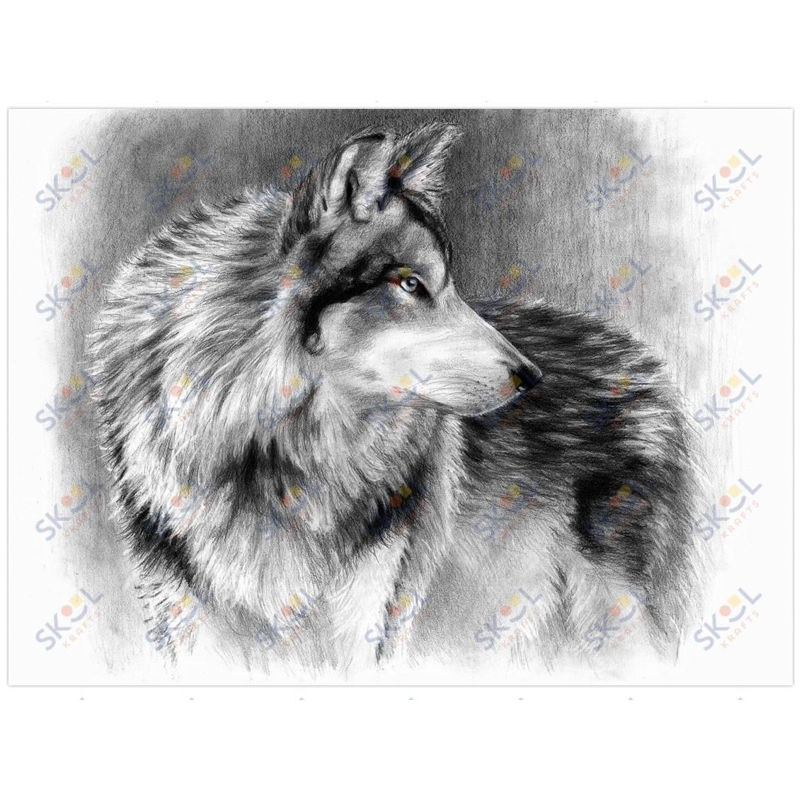 Cautious Eyes Large Sketching Kit