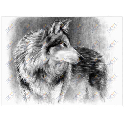 Cautious Eyes Large Sketching Kit