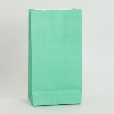 Paper Treat Bags 5" x 9.5" x 3" 12/pk Aqua
