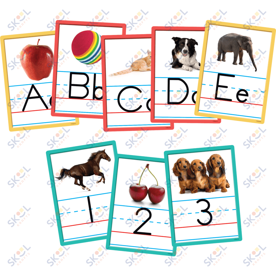 Alphabet and Numbers Accents 6" x 8" 36/pk