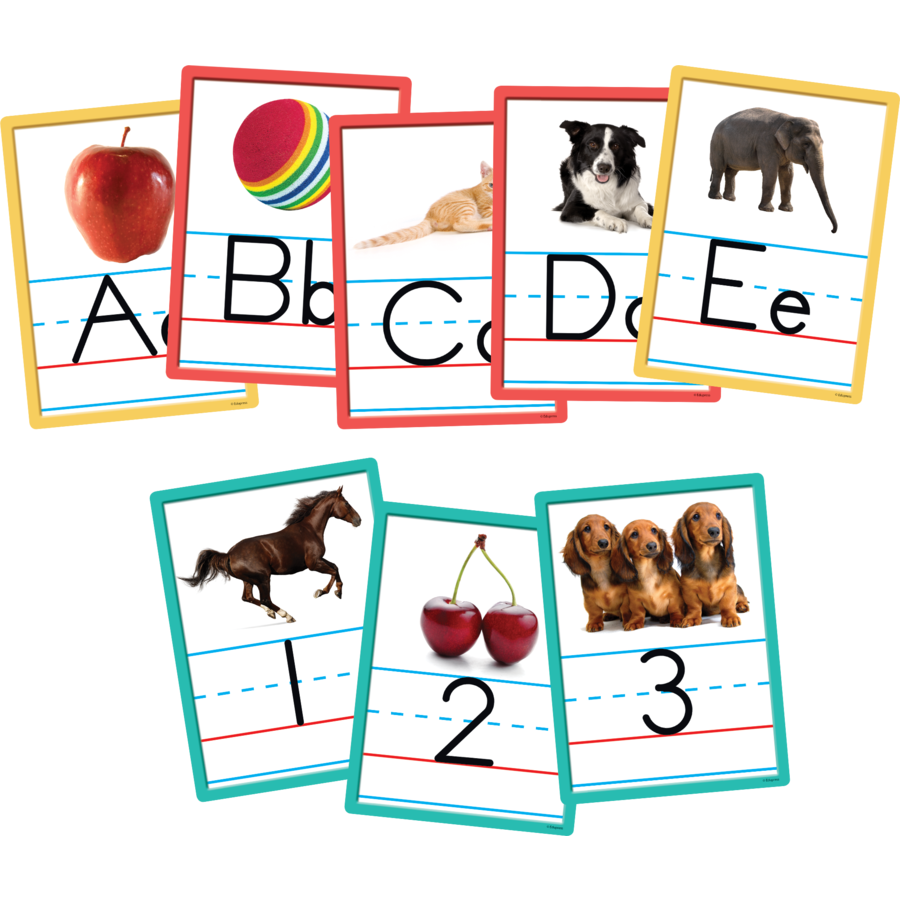 Alphabet and Numbers Accents 6" x 8" 36/pk