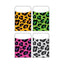 Leopard Pockets Variety Pack 3 1/2" x 5 1/4" 40/pk