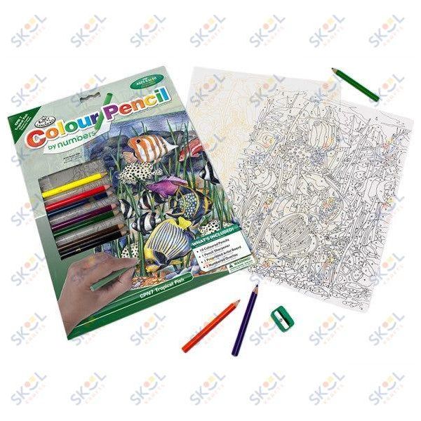 Tropical Fish Color Pencil by Number