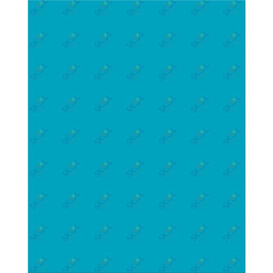 Plastic Poster Board, 22" x 28" (Neon Green)