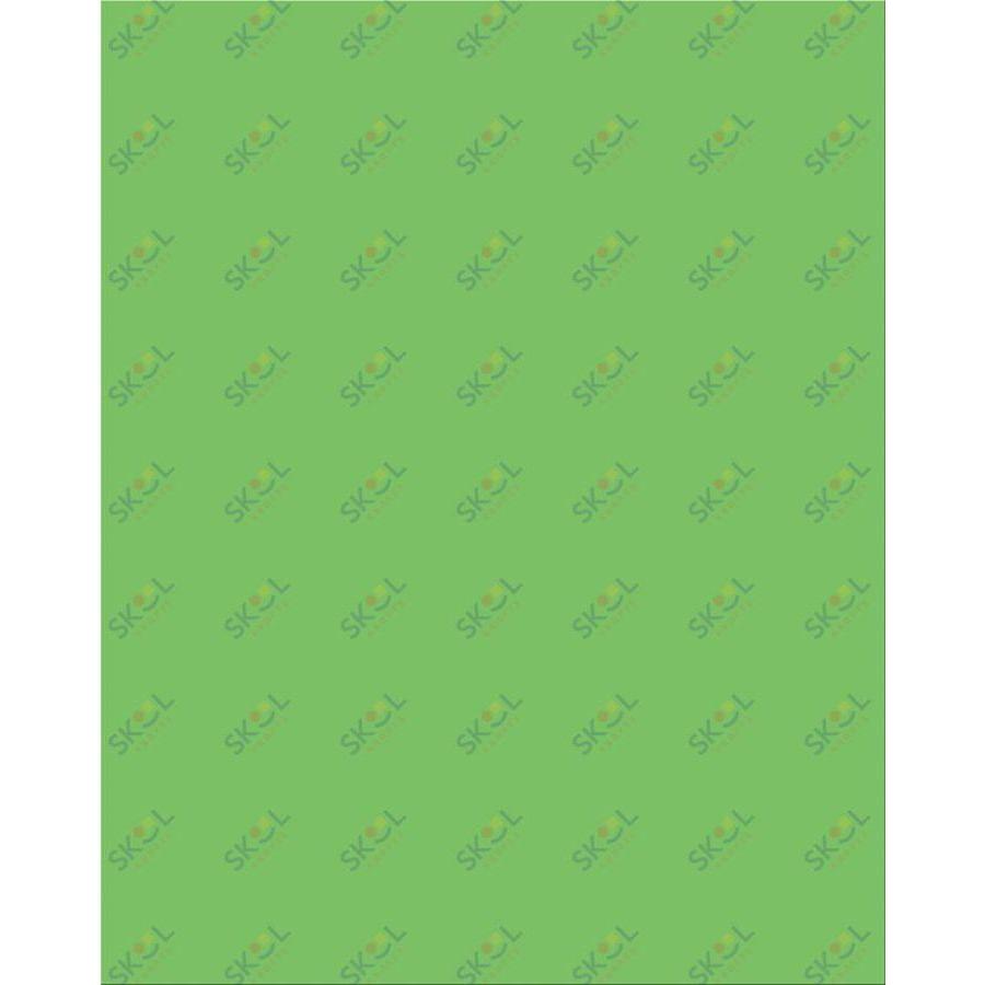 Plastic Poster Board, 22" x 28" (Neon Green)