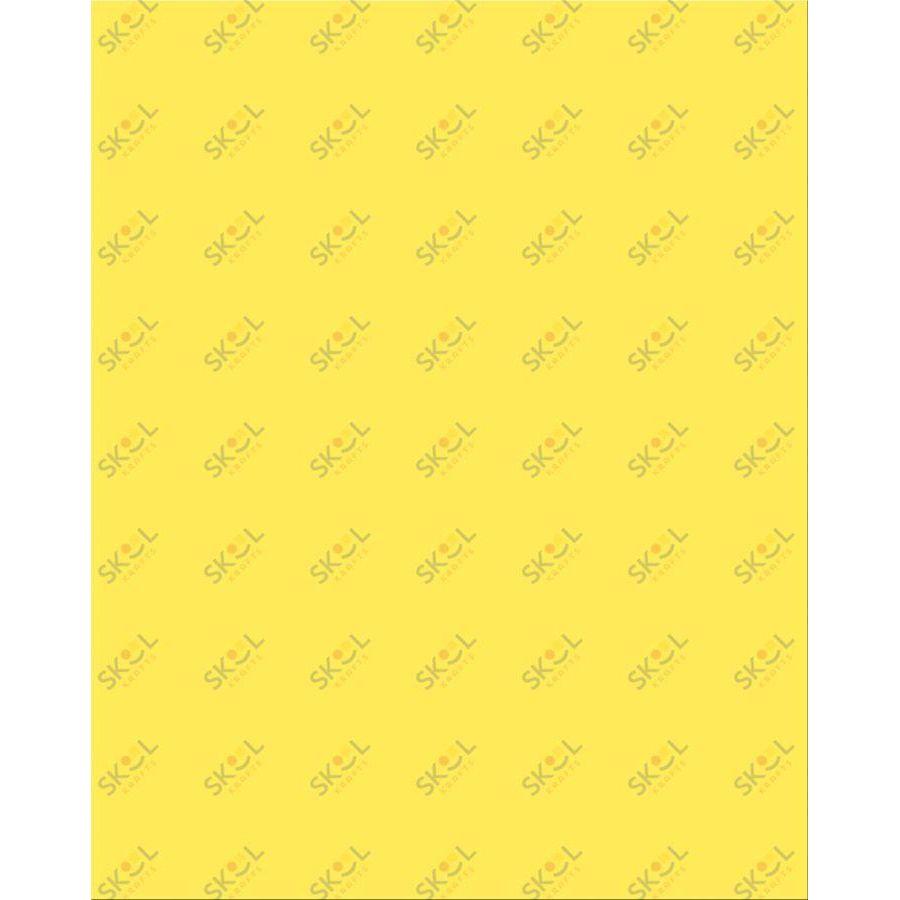 Plastic Poster Board, 22" x 28" (Neon Green)