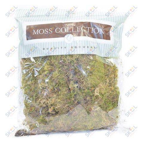 Tree Moss Green Medium 1.87QT