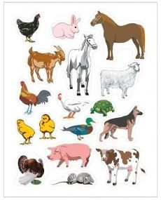 Farm Animals Stickers 25 sheets
